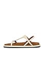 view 5 of 5 Ultimo Sandal in Mandorla