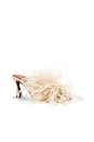 view 2 of 5 SANDALES ZIANO in Cipria Grained Calf & Feathers