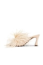 view 5 of 5 SANDALES ZIANO in Cipria Grained Calf & Feathers