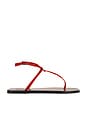 view 1 of 5 Alassio Sandal in Melograno Nappa