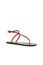view 2 of 5 Alassio Sandal in Melograno Nappa