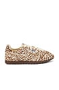 view 1 of 6 Windspin Low Sneaker in Animal & Ivory