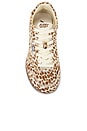 view 4 of 6 Windspin Low Sneaker in Animal & Ivory
