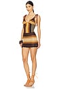 view 2 of 3 Mini Dress in Brown Shades