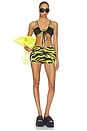 view 5 of 6 Zebra Mini Short in Black & Yellow