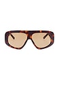 view 1 of 3 Milano Sunglasses in T-shell, Yellow Gold, & Brown