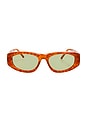 view 1 of 3 Milano Sunglasses in T-Shell, Yellow Gold, & Green