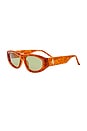 view 2 of 3 Milano Sunglasses in T-Shell, Yellow Gold, & Green