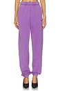 view 1 of 6 Sweatpant in Purple