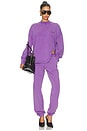 view 5 of 6 Sweatpant in Purple