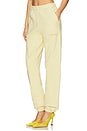 view 3 of 6 팬츠 in Fade Dusty Yellow