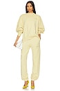 view 5 of 6 팬츠 in Fade Dusty Yellow