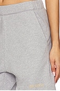 view 6 of 6 Long Pant in Melange Grey & Beige