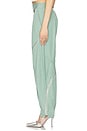 view 3 of 6 Long Pant in Sage Green