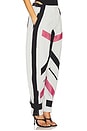view 2 of 6 Long Pant in Multicolor