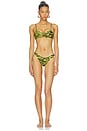 view 1 of 5 Zebra Bikini Set in Black & Yellow