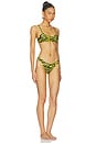 view 2 of 5 Zebra Bikini Set in Black & Yellow