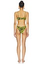 view 3 of 5 Zebra Bikini Set in Black & Yellow