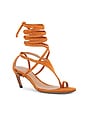 view 2 of 5 Nova Sandal in Cigar