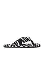 view 1 of 5 Indie Flat Thong Sandal in White & Black