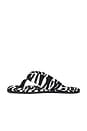 view 5 of 5 Indie Flat Thong Sandal in White & Black