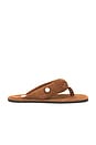 view 1 of 5 Indie Flat Thong Sandal in Pale Brown