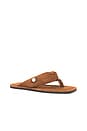 view 2 of 5 Indie Flat Thong Sandal in Pale Brown
