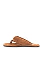 view 5 of 5 Indie Flat Thong Sandal in Pale Brown