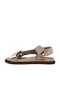 view 5 of 5 Salinas Flatform Sandal in Light Grey