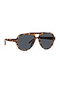 view 2 of 4 X Linda Farrow Jurgen Sunglasses in T-shell, Gold, & Blue