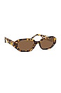 view 2 of 3 LUNETTES DE SOLEIL IRENE in T-shell & Brown