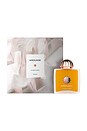 view 2 of 2 AGUA DE PERFUME OVERTURE WOMAN in 