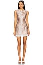 view 1 of 4 Mabel Dress in Rosewater