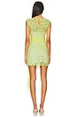 view 3 of 4 Indi Dress in Yellow Lace