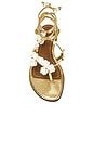 view 4 of 5 Isla Perl? Sandal in Gold