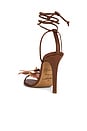 view 3 of 5 Prudence Sandal in Brown