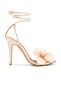 view 1 of 5 Clarissa Sandal in Blush