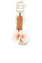 view 4 of 5 Clarissa Sandal in Blush