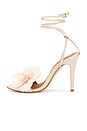 view 5 of 5 Clarissa Sandal in Blush