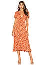 view 1 of 3 Agnes Fleur Midi Dress in Rust