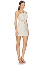 view 2 of 4 Drea Dress in Beige