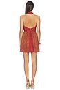 view 4 of 5 Palmer Dress in Sunset Orange