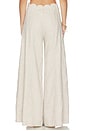 view 4 of 6 PANTALONES SARIAH  in Beige