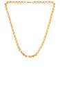 view 1 of 2 Beige Rolo Chain Necklace in Gold