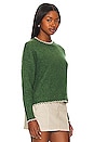view 2 of 4 Tipped Crew Neck in Pickle & Mojave