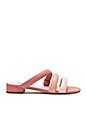 view 1 of 5 SANDALIAS CARLA in Dusty Rose