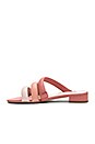 view 5 of 5 SANDALIAS CARLA in Dusty Rose