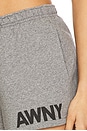view 6 of 6 SHORT ESTAMPADO in Dark Heather Grey