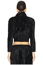 view 4 of 5 Cropped Track Jacket With Logo Webbing in Black