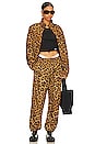 view 4 of 4 Leopard Track Pant With Stacked Wang Puff Logo in Black Multi